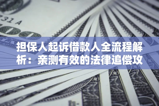 济南担保人起诉借款人全流程解析：亲测有效的法律追偿攻略
