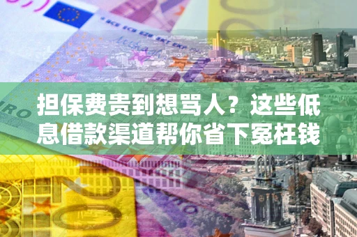 济南担保费贵到想骂人？这些低息借款渠道帮你省下冤枉钱