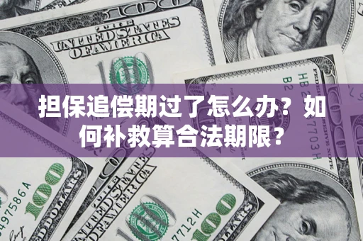 济南担保追偿期过了怎么办？如何补救算合法期限？