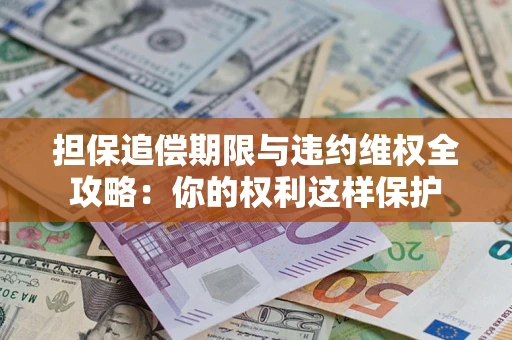 济南担保追偿期限与违约维权全攻略：你的权利这样保护
